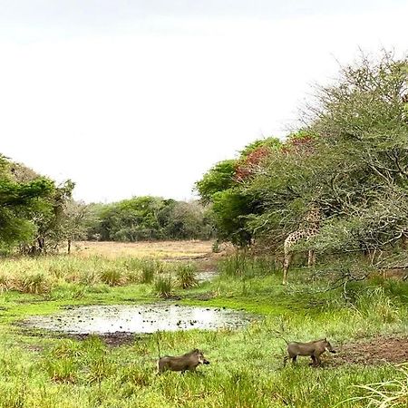 Hideaways Lazuli Bush Lodge, Hluhluwe Ngoại thất bức ảnh
